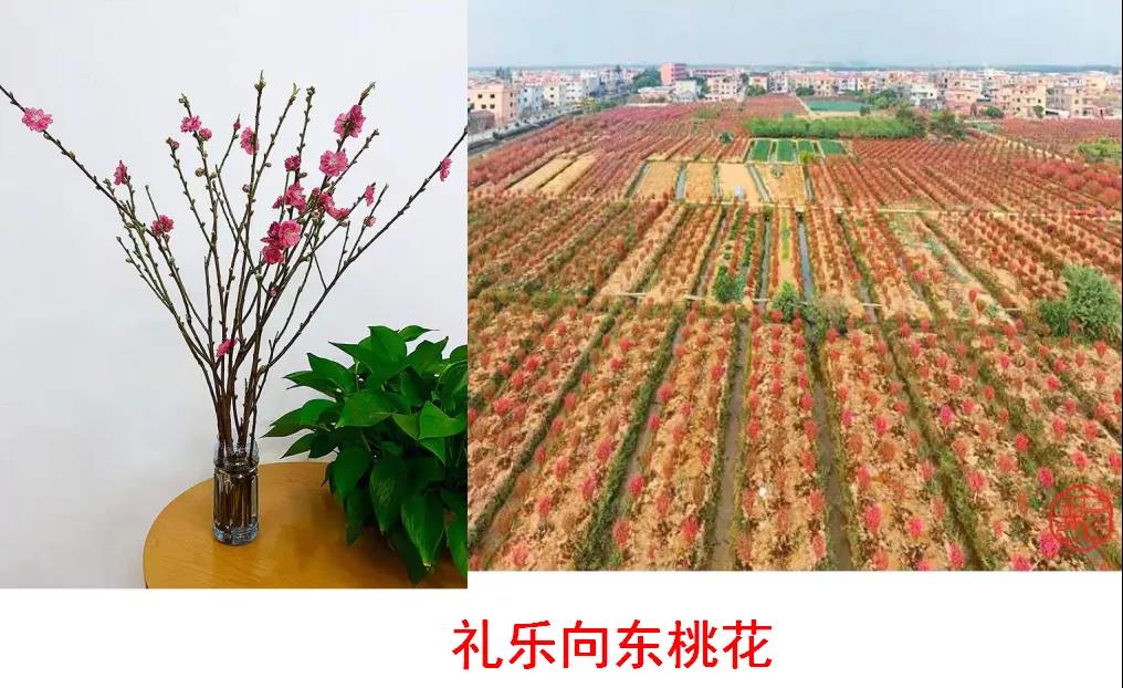 微信图片_20220108154537.jpg