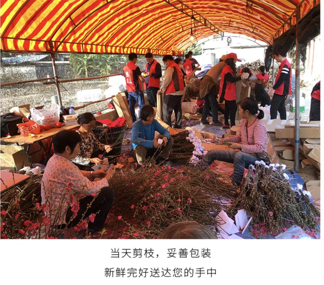 微信图片_20220127115220.jpg